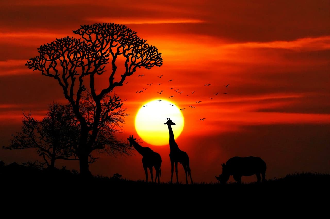 best-safari-spots-africa-header-image